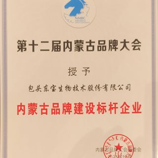 內(nèi)蒙古民族品牌建設(shè)標(biāo)桿企業(yè)